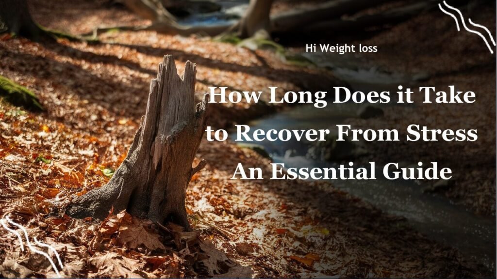 How Long Does it Take to Recover From Stress An Essential Guide pdf