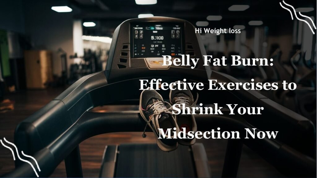 Belly Fat Burn Effective Exercises to Shrink Your Midsection Now pdf