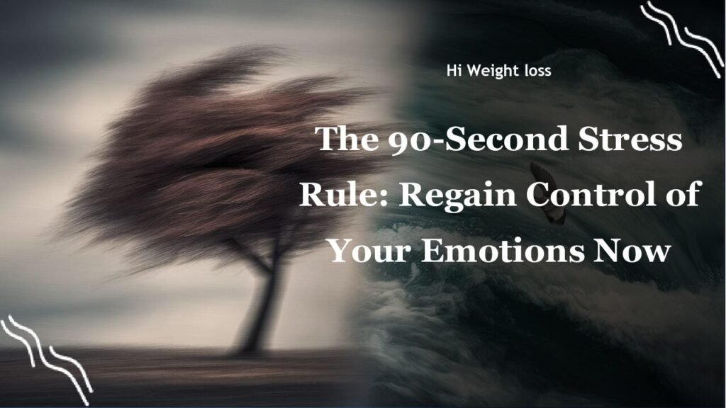 The 90 Second Stress Rule Regain Control of Your Emotions Now pdf